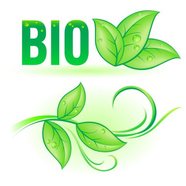 Bio kelime yaprak elemanları ile