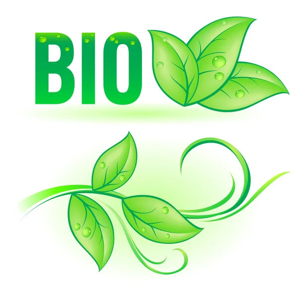 Słowo Bio z elementami liść — Wektor stockowy
