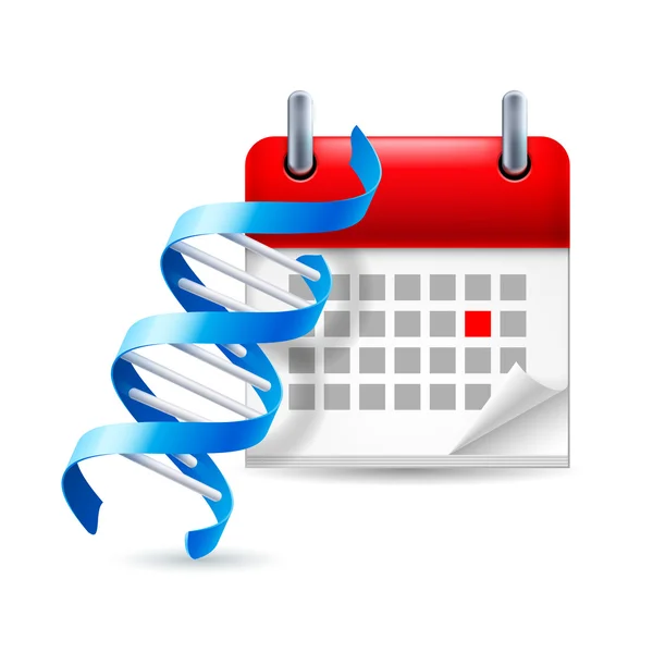 DNA e calendario — Vettoriale Stock