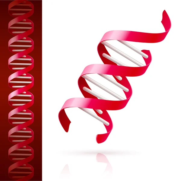 ADN rojo — Archivo Imágenes Vectoriales