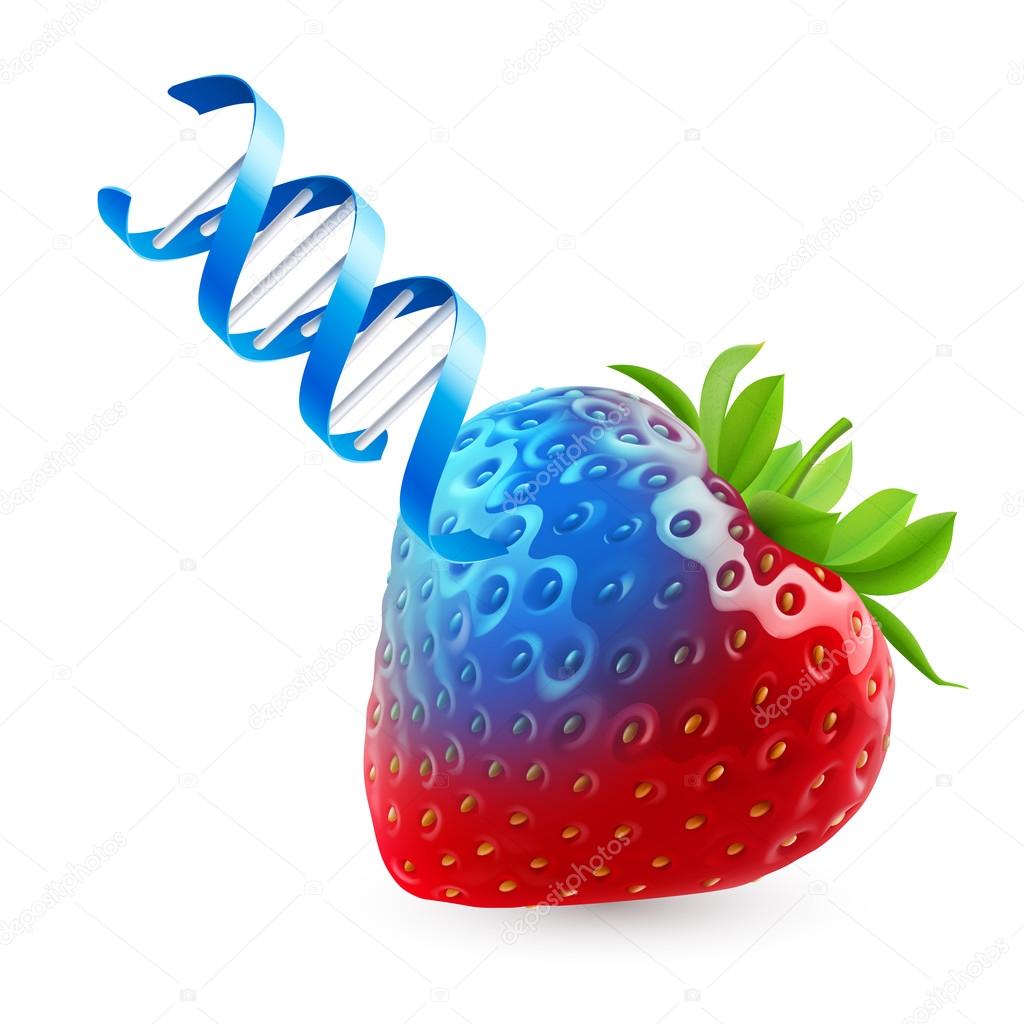 Strawberry with GMO