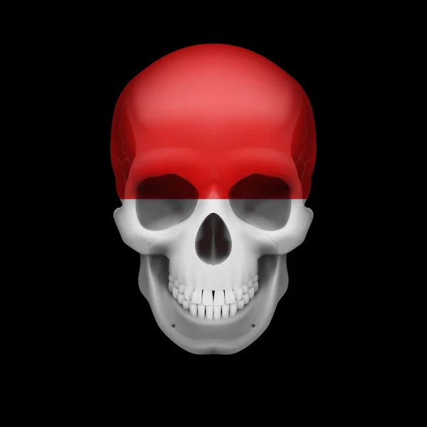 Monacan flag skull — Stock Vector