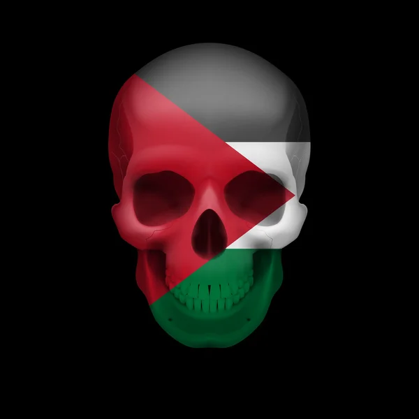 Palestinian flag skull — Stock Vector