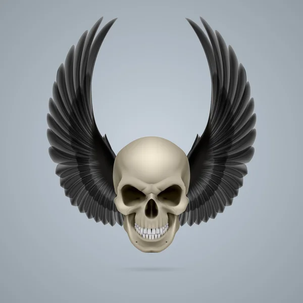 Evil skull with wings up — Stock Vector