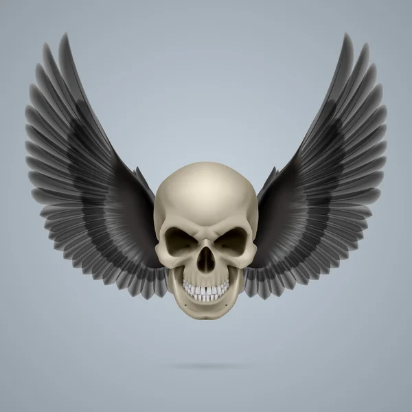 Evil skull with wings — Stock Vector