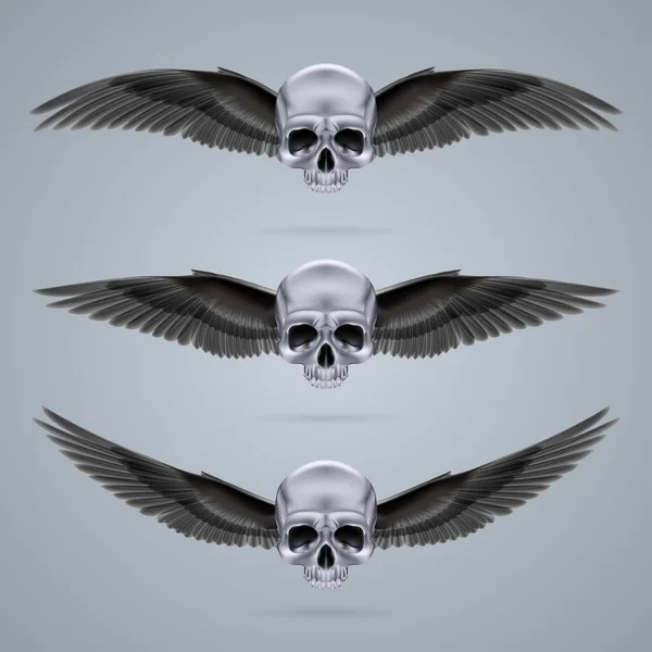 Three metal chrome skulls with two wings — Stock Vector