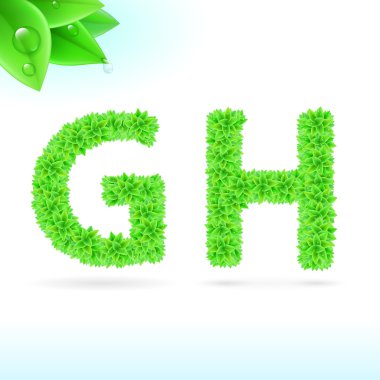 sans serif yazı tipi yaprak yeşil süslemeli