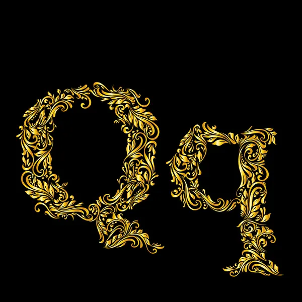 Decorated letter 'q' — 스톡 벡터