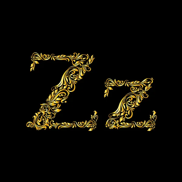 Decorated letter 'z' — Stock Vector