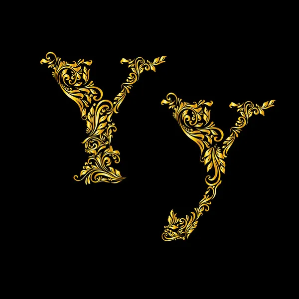 Decorated letter 'y' — Stok Vektör