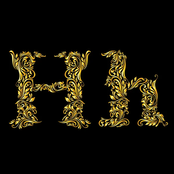 Verzierter Buchstabe "h" in Groß- und Kleinbuchstaben — Stockvektor