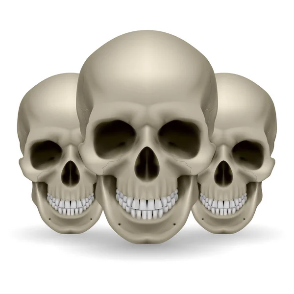 Illustration Three Skulls White Background — Stock Vector
