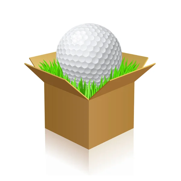 Golf Ball Green Grass Carton Box — стоковий вектор