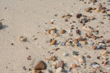 Deniz kabuğu ve taş parçaları doku