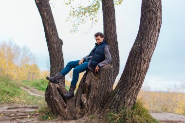 Sarı sonbahar ormanında ağaca tırmanan uzun boylu yakışıklı bir adam.