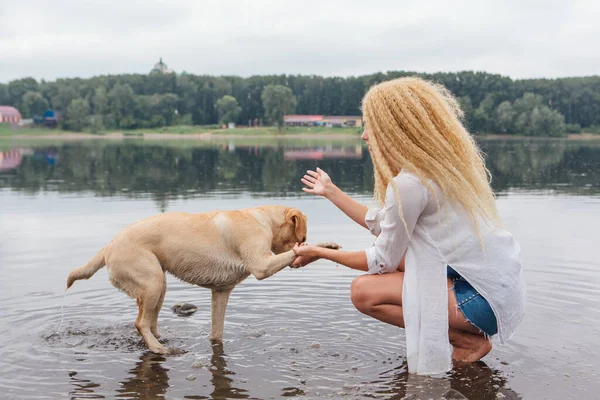 Junge Schöne Frau Mit Blonden Locken Spielt Mit Ihrem Labrador — Stockfoto