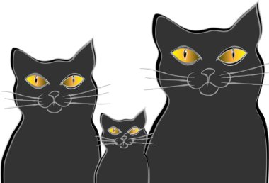 kedi ailesi
