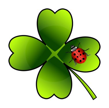  yonca on uğur böceği