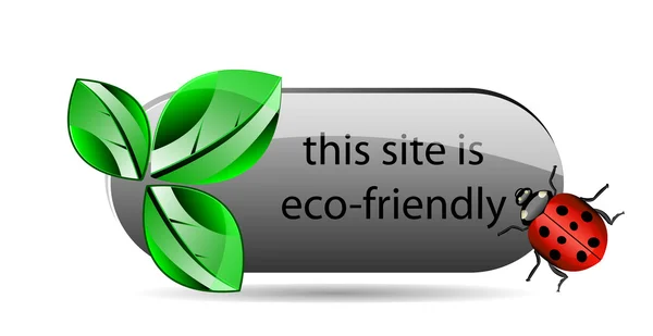 Bottone eco con foglia verde e coccinella — Foto Stock