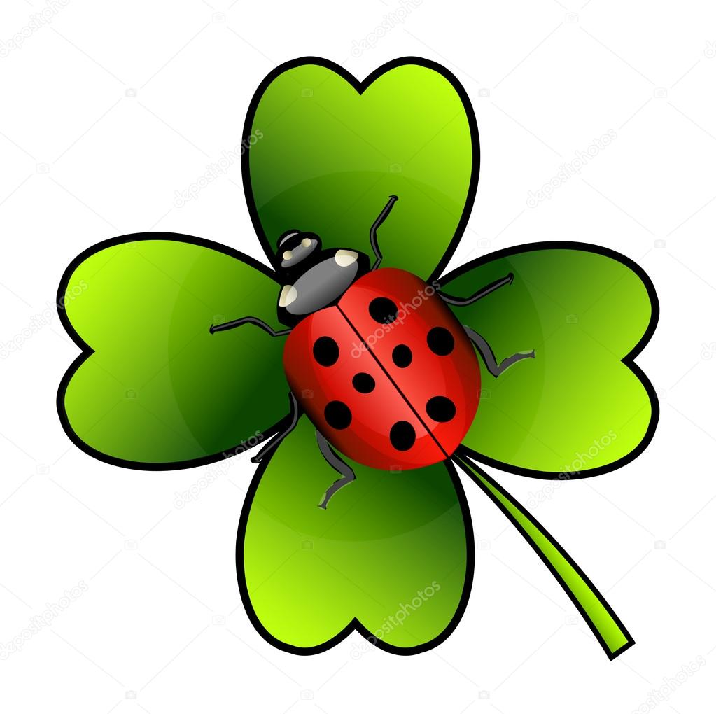  ladybug on clover