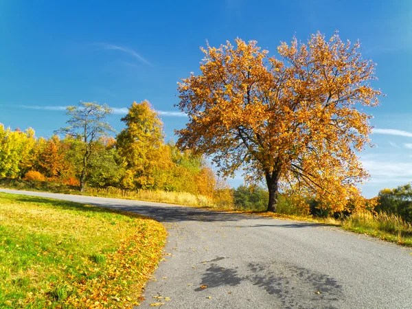 Herbstliche Landschaft — Stockfoto