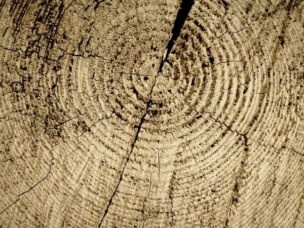 Detalle de primer plano de madera — Foto de Stock