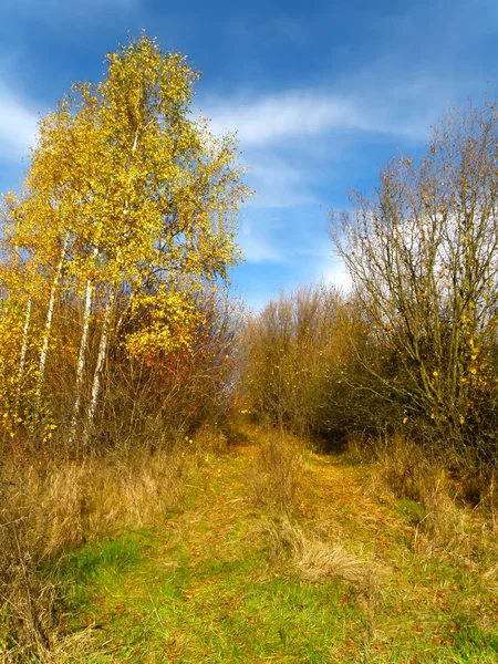 Herbstliche Landschaft — Stockfoto