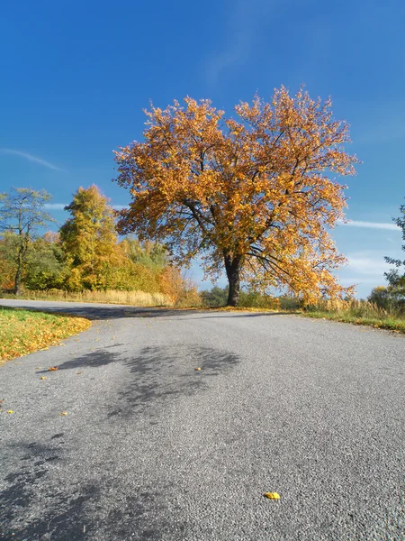 Herbstliche Landschaft — Stockfoto