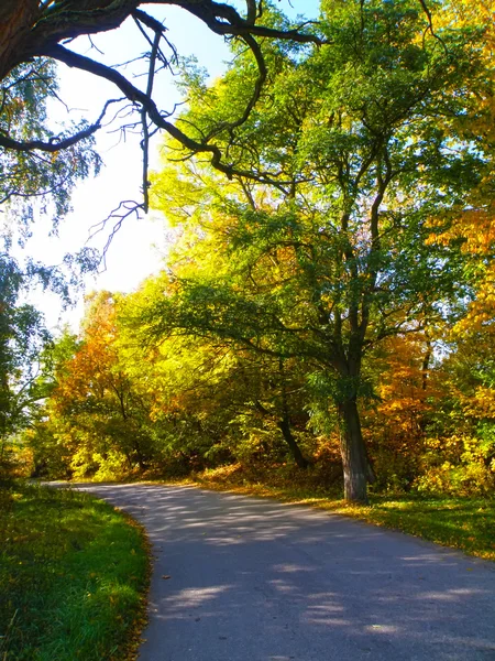 Herbstliche Landschaft — Stockfoto