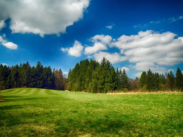 Landschaft mit Wiesen und Bäumen — Stockfoto