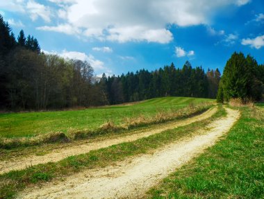 çayır ve ağaçları ile peyzaj