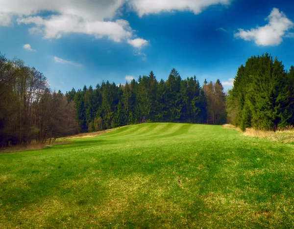 Landschaft mit Wiesen und Bäumen — Stockfoto