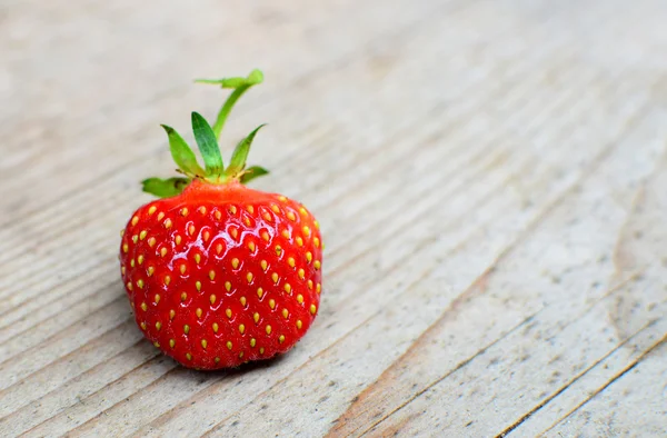 Erdbeere — Stockfoto