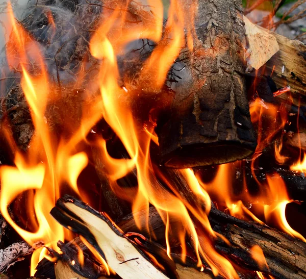 Fire — Stock Photo, Image