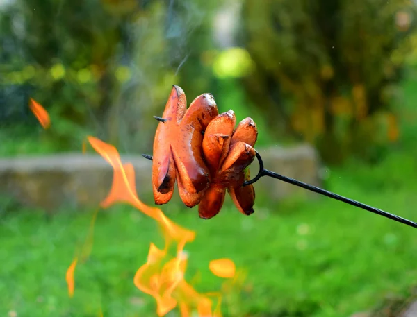 Sausage and fire — Stock Photo, Image