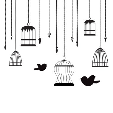 kuşlar ve birdcages