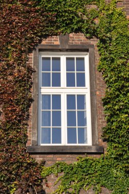 Evin duvarına dağcı