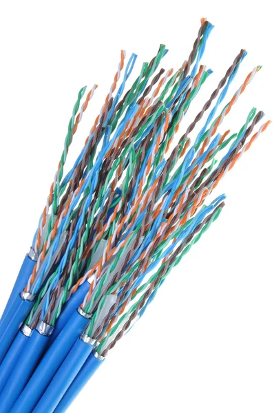 Ağ kabloları cat 6 — Stok fotoğraf