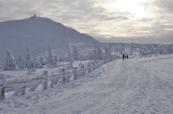 Sniezka karlı tepe sudetenland içinde — Stok fotoğraf