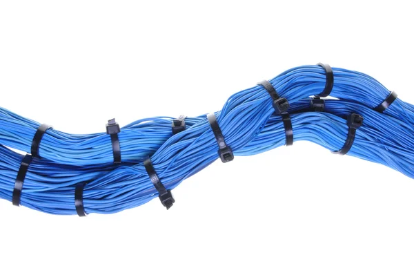 Paquetes de cables azules en redes de comunicación globales — Foto de Stock