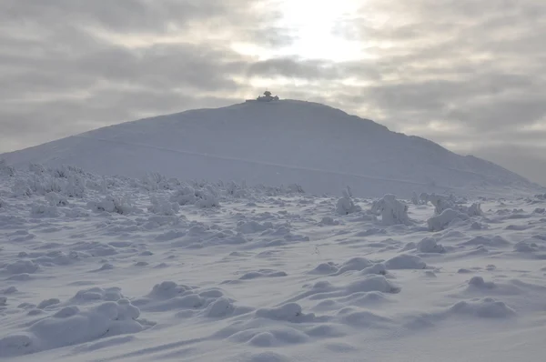 Sniezka snöiga topp i sudetenland — Stockfoto