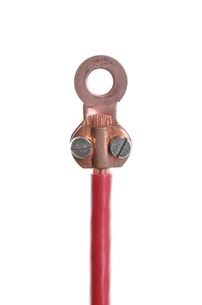 銅端子付き色電気ケーブル — ストック写真