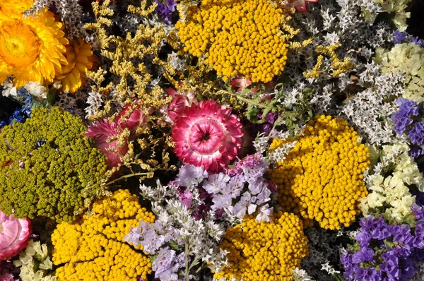 Um buquê de flores — Fotografia de Stock