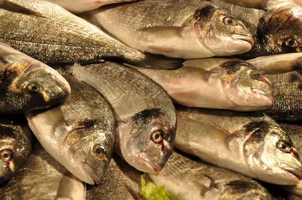 Poisson sur le marché Rialto Venezia — Photo