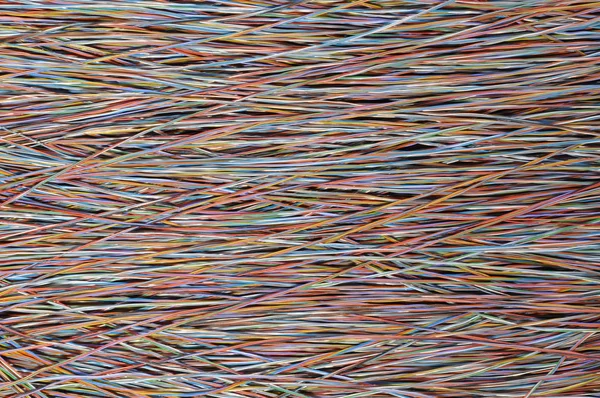 Síťové kabely — Stock fotografie