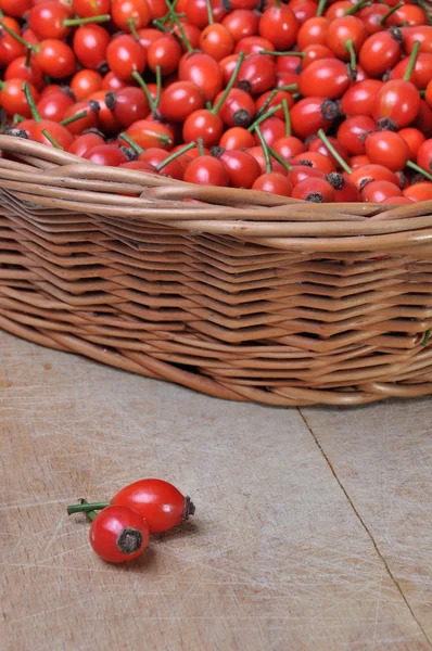 Fruits of rose hip in a wicker basket — Stock Photo, Image