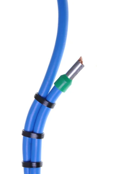 Niebieski kabli elektrycznych — Zdjęcie stockowe