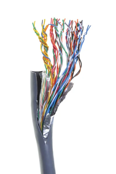 Telekomunikační síťový kabel — Stock fotografie
