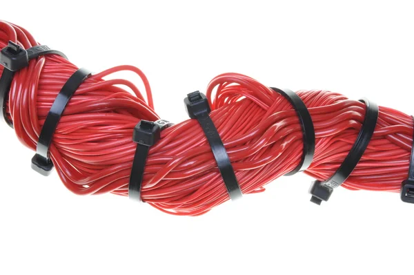 Cable de red — Foto de Stock