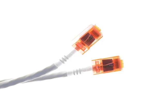 Network computer cable — Stock Photo, Image
